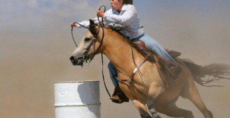 Stone picker for equestrian arenas
