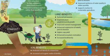Organic green waste - compost for rural farms