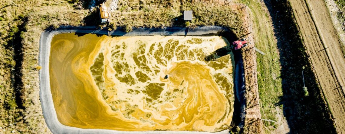 Effluent Pond Management
