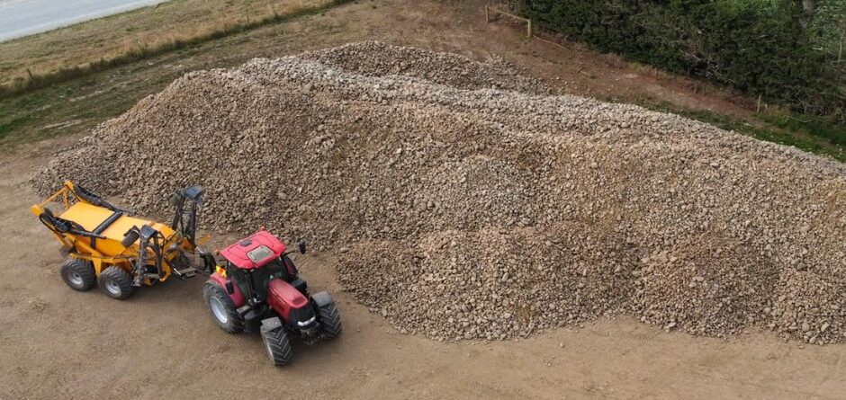 Elsho Stonepicker from CIA