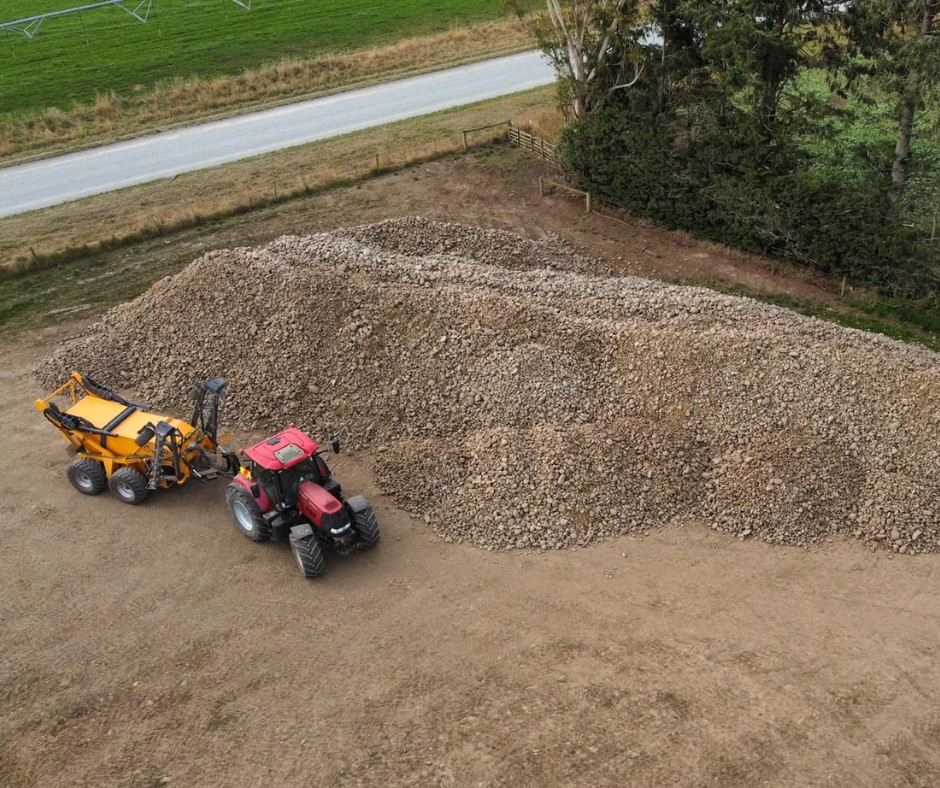 Elsho Stonepicker from CIA